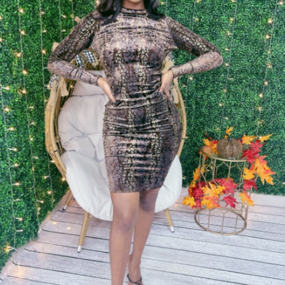 Long Sleeves Velvet Burnout Dress - Mocha